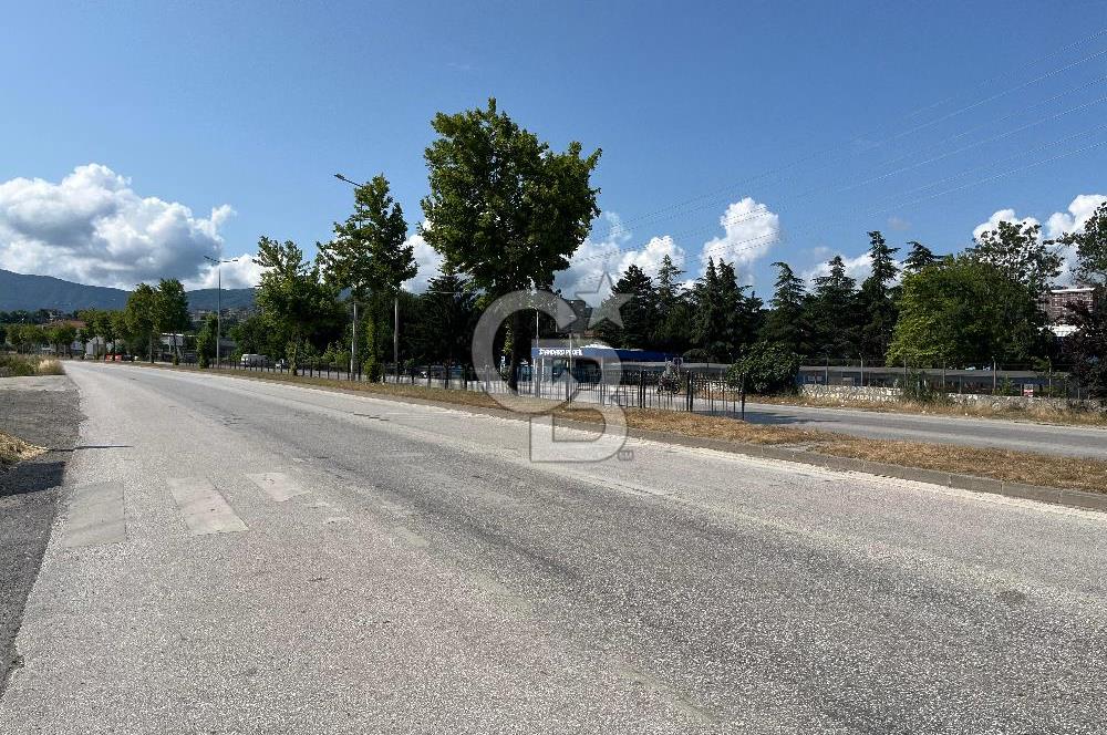 Düzce Merkez Satılık Daire 