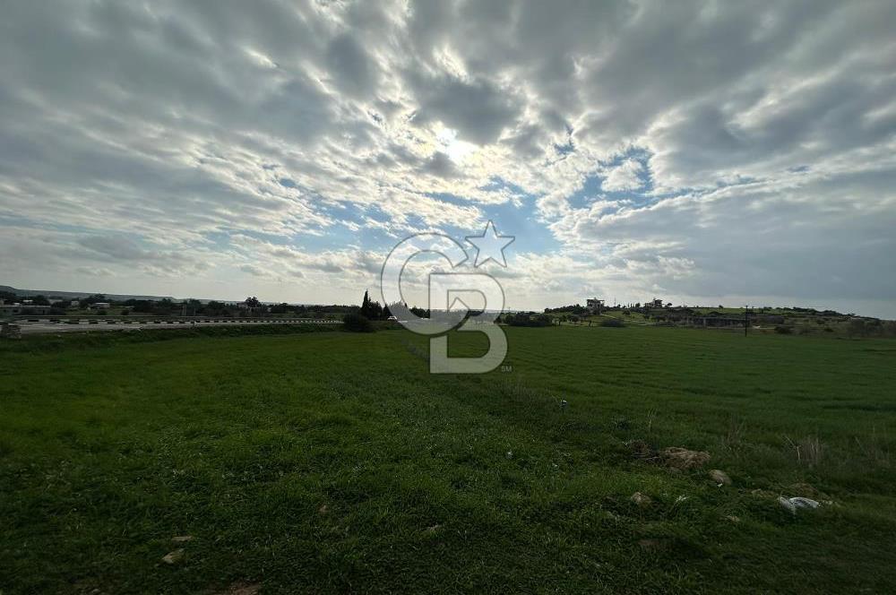 ANAYOLA CEPHELİ ARSA