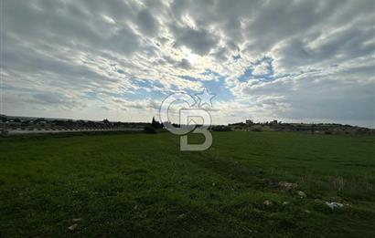 ANAYOLA CEPHELİ ARSA