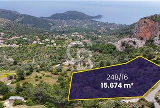 DATÇA MESUDİYE'DE DENİZ MANZARALI 15.674m² SATILIK ZEYTİNLİK