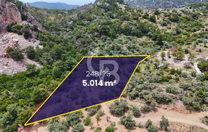 DATÇA MESUDİYE'DE DENİZ MANZARALI 5.014m² SATILIK ZEYTİNLİK