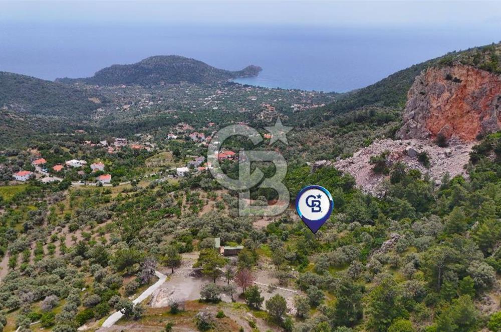 DATÇA MESUDİYE'DE DENİZ MANZARALI 5.014m² SATILIK ZEYTİNLİK