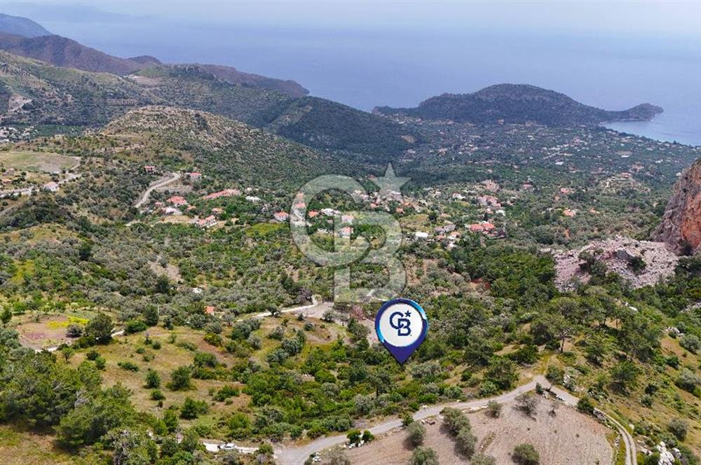 DATÇA MESUDİYE'DE DENİZ MANZARALI 15.674m² SATILIK ZEYTİNLİK