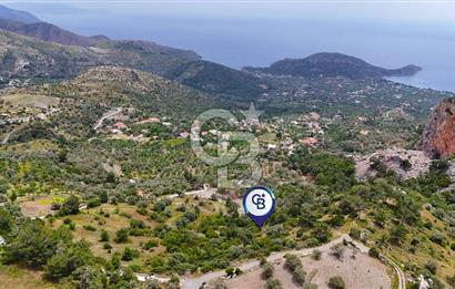 DATÇA MESUDİYE'DE DENİZ MANZARALI 15.674m² SATILIK ZEYTİNLİK