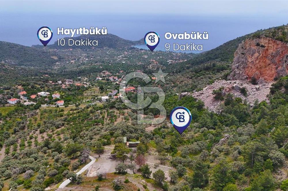DATÇA MESUDİYE'DE DENİZ MANZARALI 5.014m² SATILIK ZEYTİNLİK