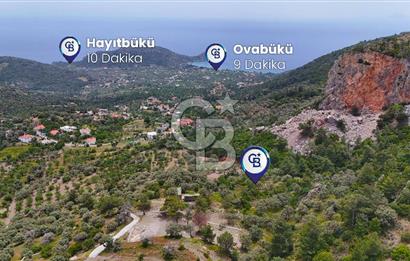 DATÇA MESUDİYE'DE DENİZ MANZARALI 5.014m² SATILIK ZEYTİNLİK
