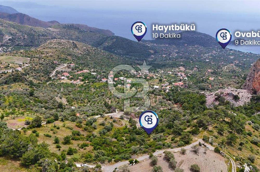 DATÇA MESUDİYE'DE DENİZ MANZARALI 15.674m² SATILIK ZEYTİNLİK