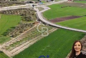 ÇANAKKALE MERKEZ GÖKÇALI KÖYÜNDE SATILIK ZEYTİNLİK VE TARIM ARAZİSi