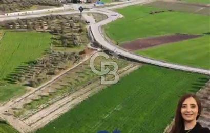 ÇANAKKALE MERKEZ GÖKÇALI KÖYÜNDE SATILIK ZEYTİNLİK VE TARIM ARAZİSi