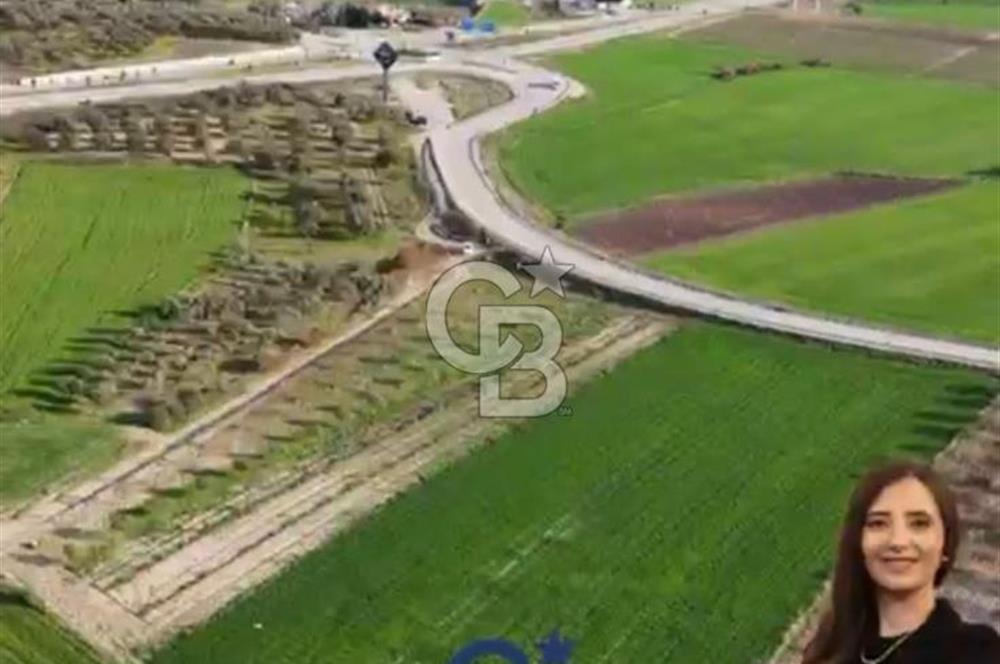 ÇANAKKALE MERKEZ GÖKÇALI KÖYÜNDE SATILIK ZEYTİNLİK VE TARIM ARAZİSi