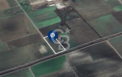 BERGAMA FERİZLER KÖYÜNDE (6712 M2) SATILIK ZEYTİNLİ TARLA