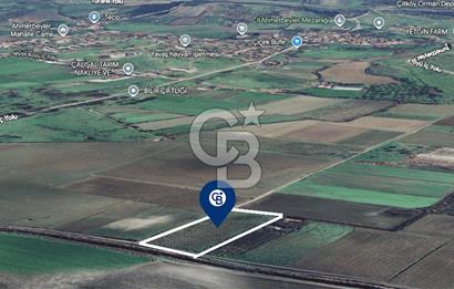 BERGAMA FERİZLER KÖYÜNDE (6712 M2) SATILIK ZEYTİNLİ TARLA