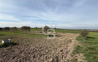 ÇANAKKALE MERKEZ GÖKÇALI KÖYÜNDE SATILIK ZEYTİNLİK VE TARIM ARAZİSi