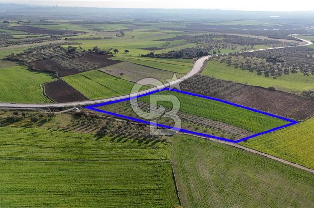 ÇANAKKALE MERKEZ GÖKÇALI KÖYÜNDE SATILIK ZEYTİNLİK VE TARIM ARAZİSi