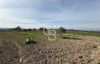 ÇANAKKALE MERKEZ GÖKÇALI KÖYÜNDE SATILIK ZEYTİNLİK VE TARIM ARAZİSi