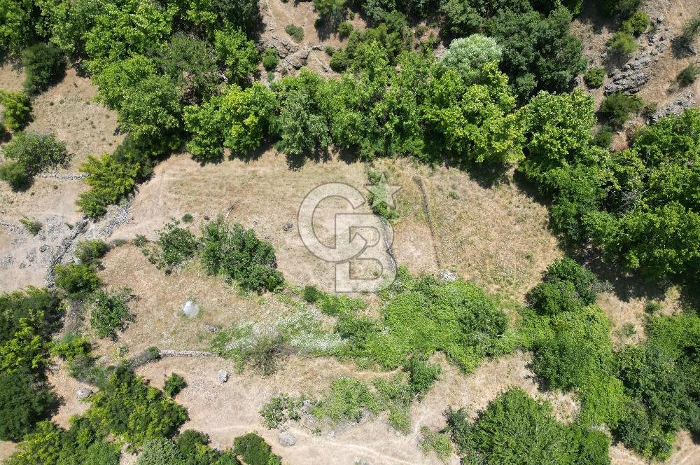 Ayvacık Küçükhusun’da İmara 30 Metre Mesafede 812 m² Müstakil Yatırımlık Tarla!