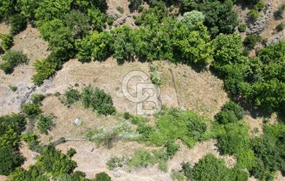 Ayvacık Küçükhusun’da İmara 30 Metre Mesafede 812 m² Müstakil Yatırımlık Tarla!