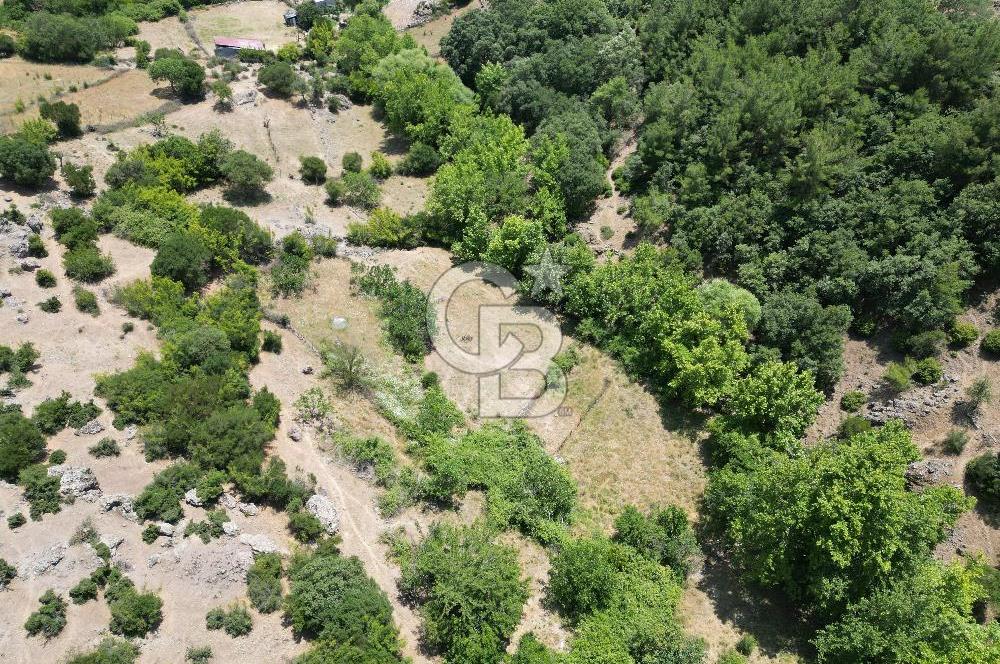 Ayvacık Küçükhusun’da İmara 30 Metre Mesafede 812 m² Müstakil Yatırımlık Tarla!