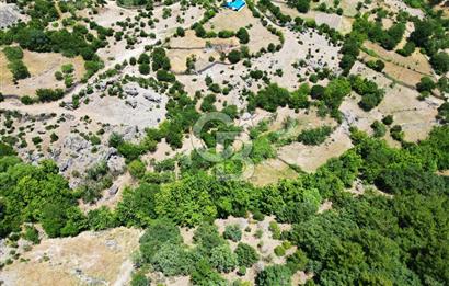Ayvacık Küçükhusun’da İmara 30 Metre Mesafede 812 m² Müstakil Yatırımlık Tarla!