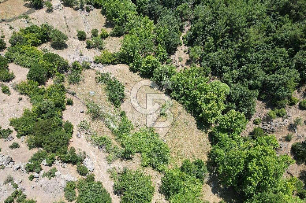 Ayvacık Küçükhusun’da İmara 30 Metre Mesafede 812 m² Müstakil Yatırımlık Tarla!