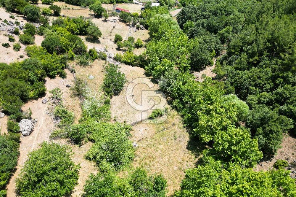 Ayvacık Küçükhusun’da İmara 30 Metre Mesafede 812 m² Müstakil Yatırımlık Tarla!
