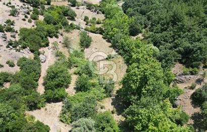 Ayvacık Küçükhusun’da İmara 30 Metre Mesafede 812 m² Müstakil Yatırımlık Tarla!