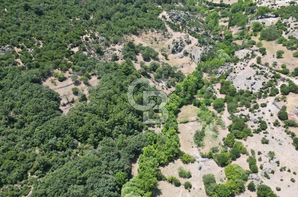 Ayvacık Küçükhusun’da İmara 30 Metre Mesafede 812 m² Müstakil Yatırımlık Tarla!