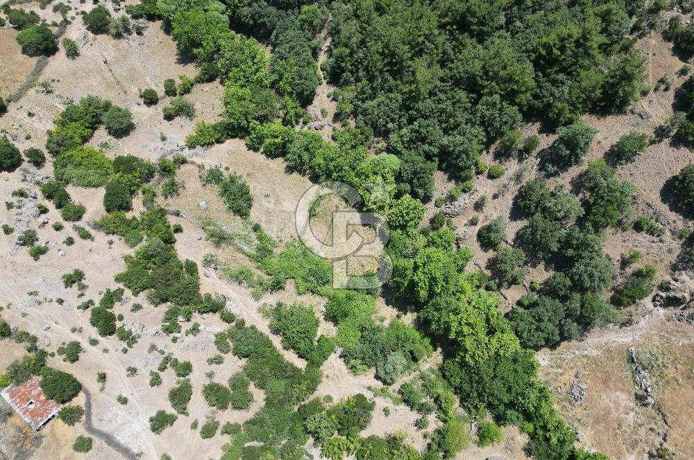 Ayvacık Küçükhusun’da İmara 30 Metre Mesafede 812 m² Müstakil Yatırımlık Tarla!
