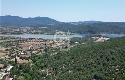 Ayvacık Küçükhusun’da İmara 30 Metre Mesafede 812 m² Müstakil Yatırımlık Tarla!