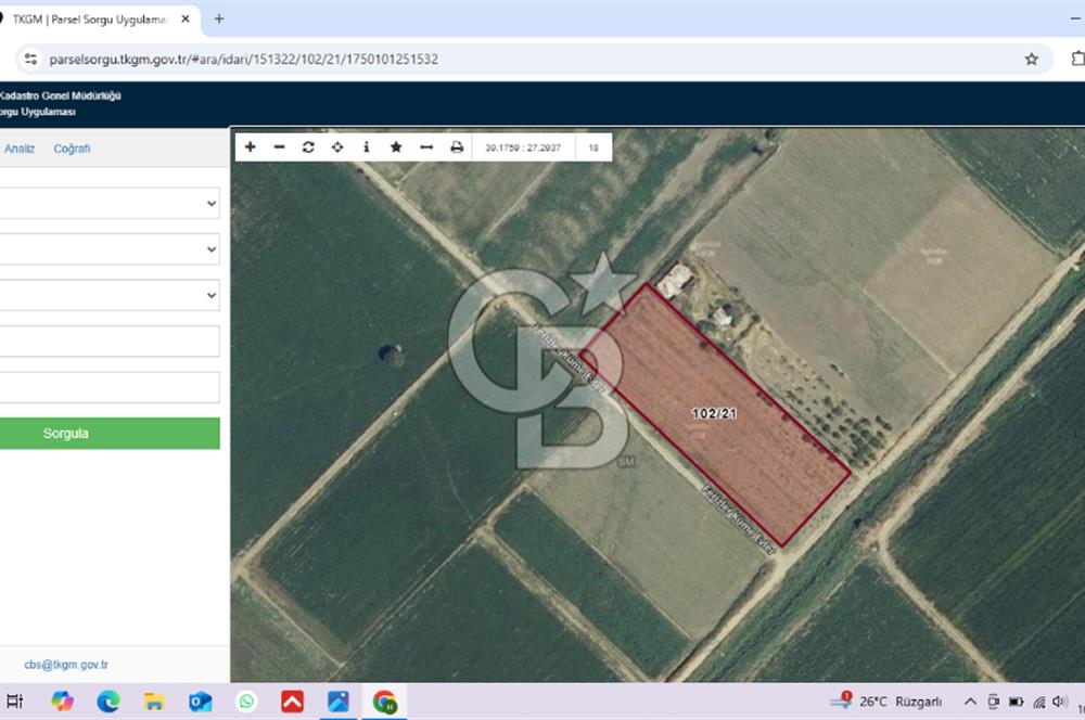BERGAMA FERİZLER KÖYÜNDE (6712 M2) SATILIK ZEYTİNLİ TARLA
