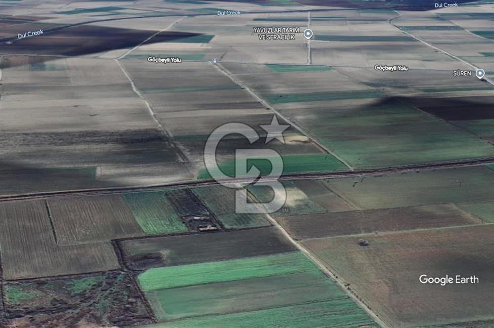 BERGAMA FERİZLER KÖYÜNDE (6712 M2) SATILIK ZEYTİNLİ TARLA