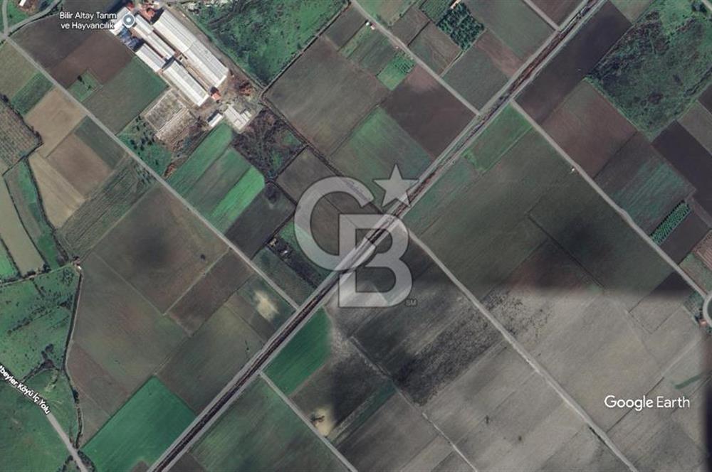 BERGAMA FERİZLER KÖYÜNDE (6712 M2) SATILIK ZEYTİNLİ TARLA