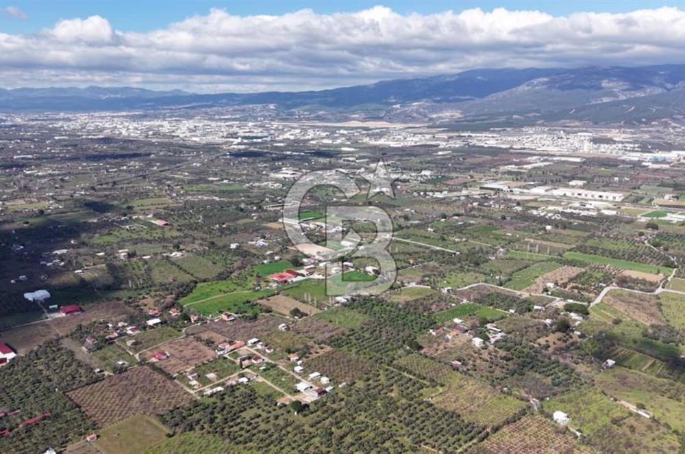 KEMALPAŞA MEHMET AKİF ERSOY'DA SATILIK 7.482 M2 KİRAZ BAHÇESİ