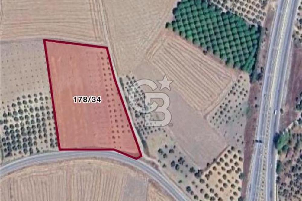 ÇANAKKALE MERKEZ GÖKÇALI KÖYÜNDE SATILIK ZEYTİNLİK VE TARIM ARAZİSi