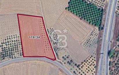 ÇANAKKALE MERKEZ GÖKÇALI KÖYÜNDE SATILIK ZEYTİNLİK VE TARIM ARAZİSi