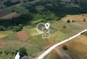 İZMİT YASSIBAĞ'DA ALTYAPI MEVCUT 2533 m² %5 İMARLI SATILIK TARLA