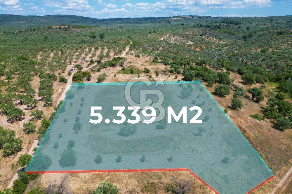 ÇANAKKALE GEYİKLİDE BOZCAADA MANZARALI 5.339 m² SATILIK ARSA