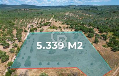 ÇANAKKALE GEYİKLİDE BOZCAADA MANZARALI 5.339 m² SATILIK ARSA