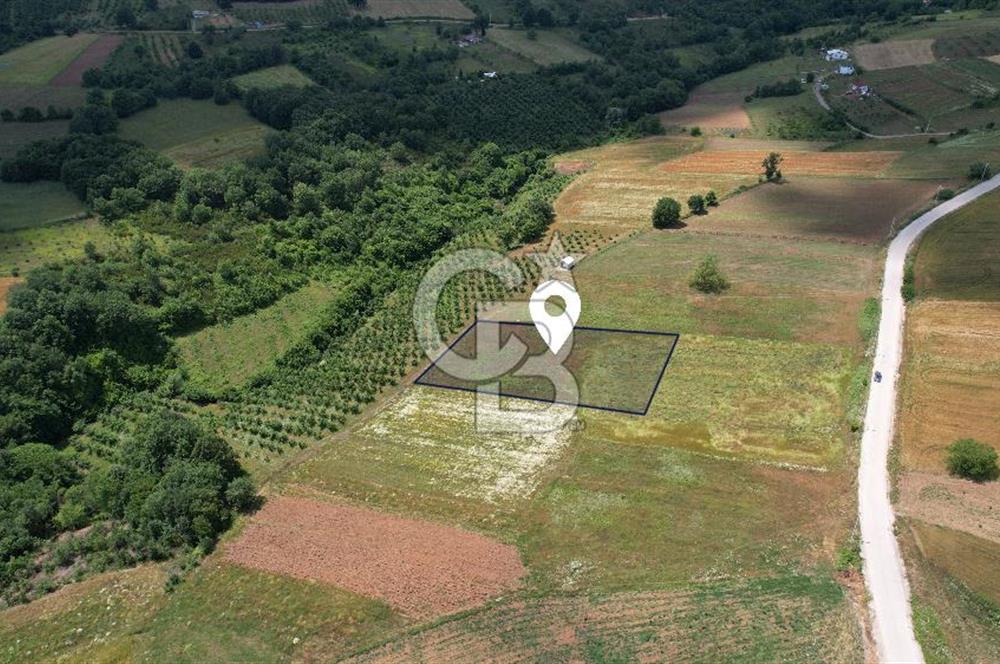 İZMİT YASSIBAĞ'DA ALTYAPI MEVCUT 2533 m² %5 İMARLI SATILIK TARLA