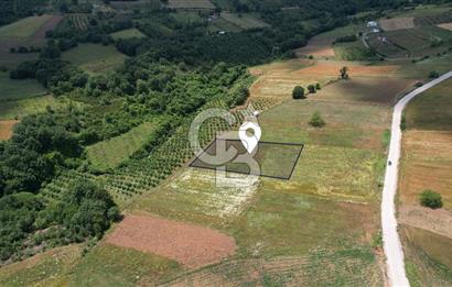 İZMİT YASSIBAĞ'DA ALTYAPI MEVCUT 2533 m² %5 İMARLI SATILIK TARLA