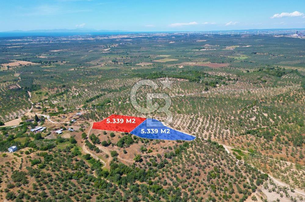 ÇANAKKALE GEYİKLİDE BOZCAADA MANZARALI 5.339 m² SATILIK ARSA