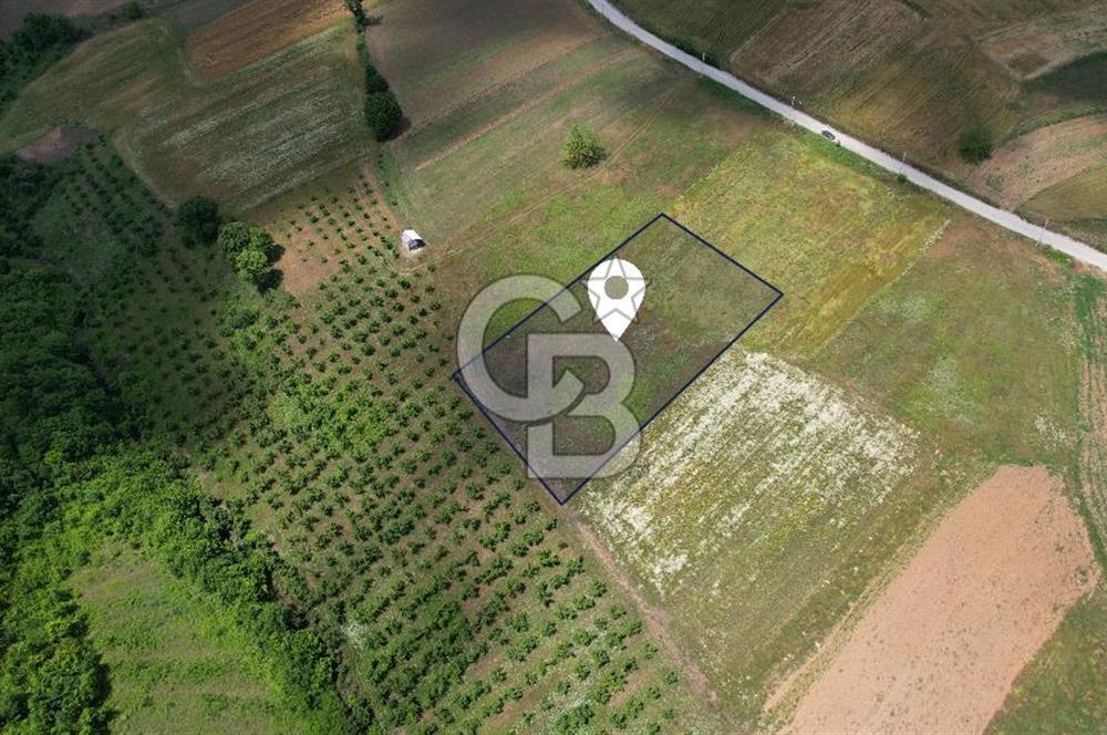 İZMİT YASSIBAĞ'DA ALTYAPI MEVCUT 2533 m² %5 İMARLI SATILIK TARLA