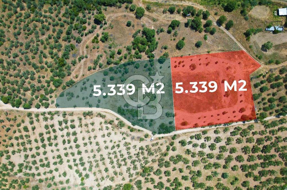 ÇANAKKALE GEYİKLİDE BOZCAADA MANZARALI 5.339 m² SATILIK ARSA