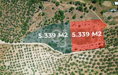ÇANAKKALE GEYİKLİDE BOZCAADA MANZARALI 5.339 m² SATILIK ARSA