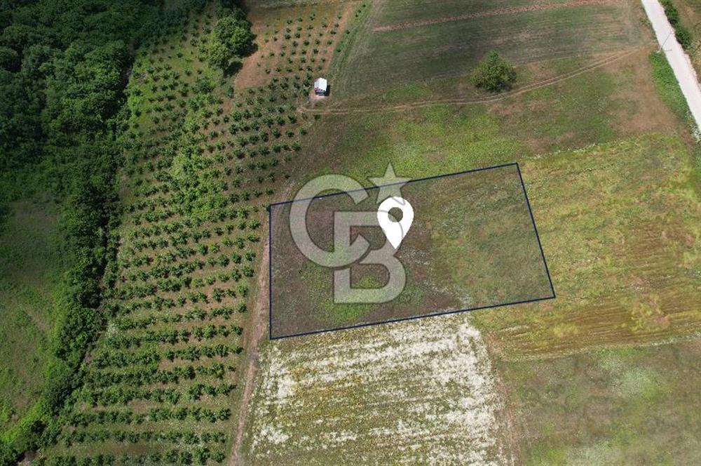 İZMİT YASSIBAĞ'DA ALTYAPI MEVCUT 2533 m² %5 İMARLI SATILIK TARLA