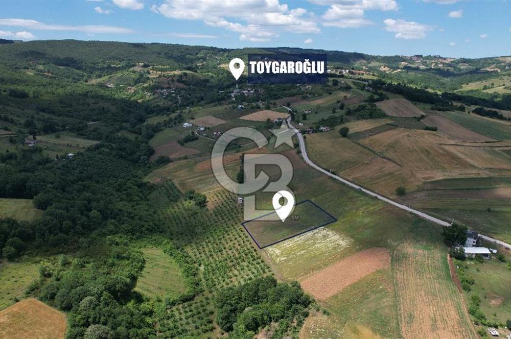 İZMİT YASSIBAĞ'DA ALTYAPI MEVCUT 2533 m² %5 İMARLI SATILIK TARLA