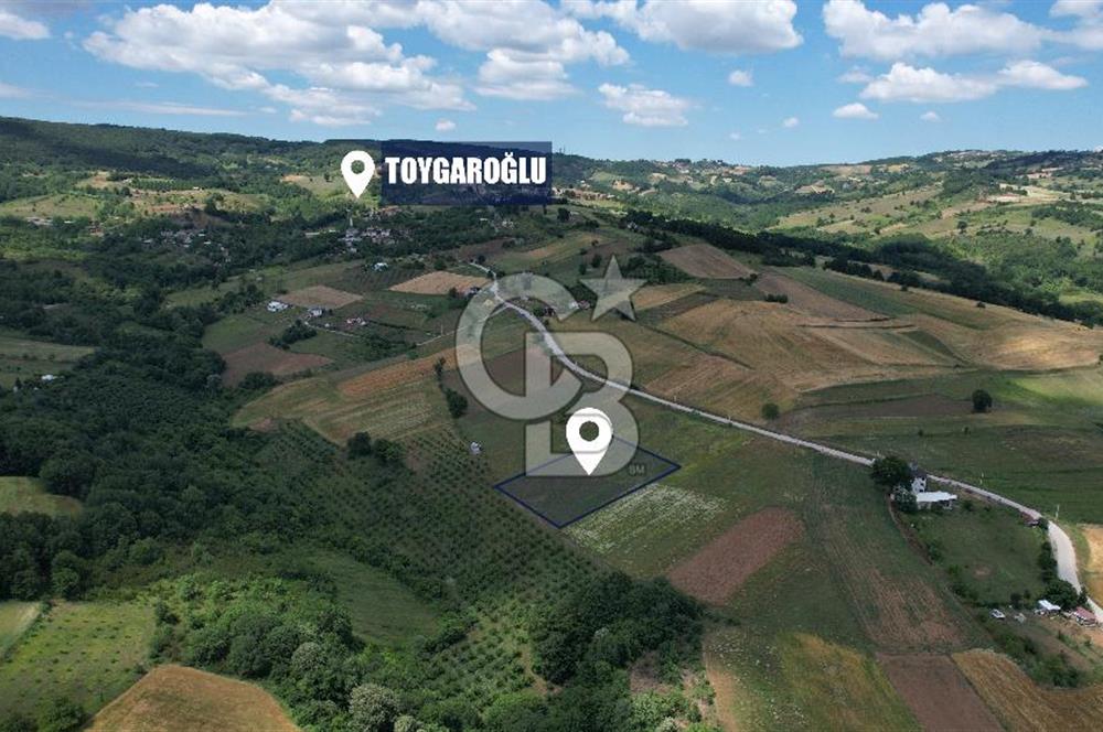 İZMİT YASSIBAĞ'DA ALTYAPI MEVCUT 2533 m² %5 İMARLI SATILIK TARLA