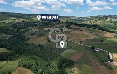 İZMİT YASSIBAĞ'DA ALTYAPI MEVCUT 2533 m² %5 İMARLI SATILIK TARLA