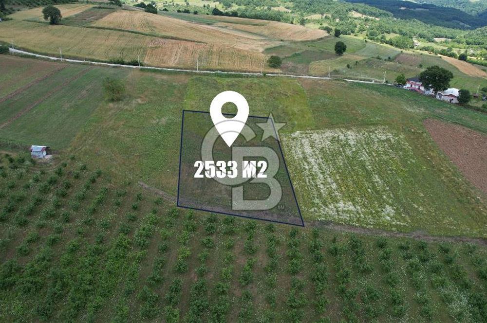 İZMİT YASSIBAĞ'DA ALTYAPI MEVCUT 2533 m² %5 İMARLI SATILIK TARLA