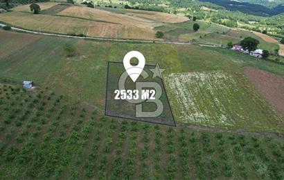 İZMİT YASSIBAĞ'DA ALTYAPI MEVCUT 2533 m² %5 İMARLI SATILIK TARLA